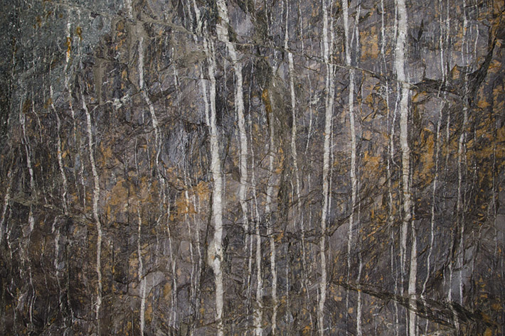 Swarm of tiny gold-bearing quartz veinlets at Mokrsko deposit, Czech Republic