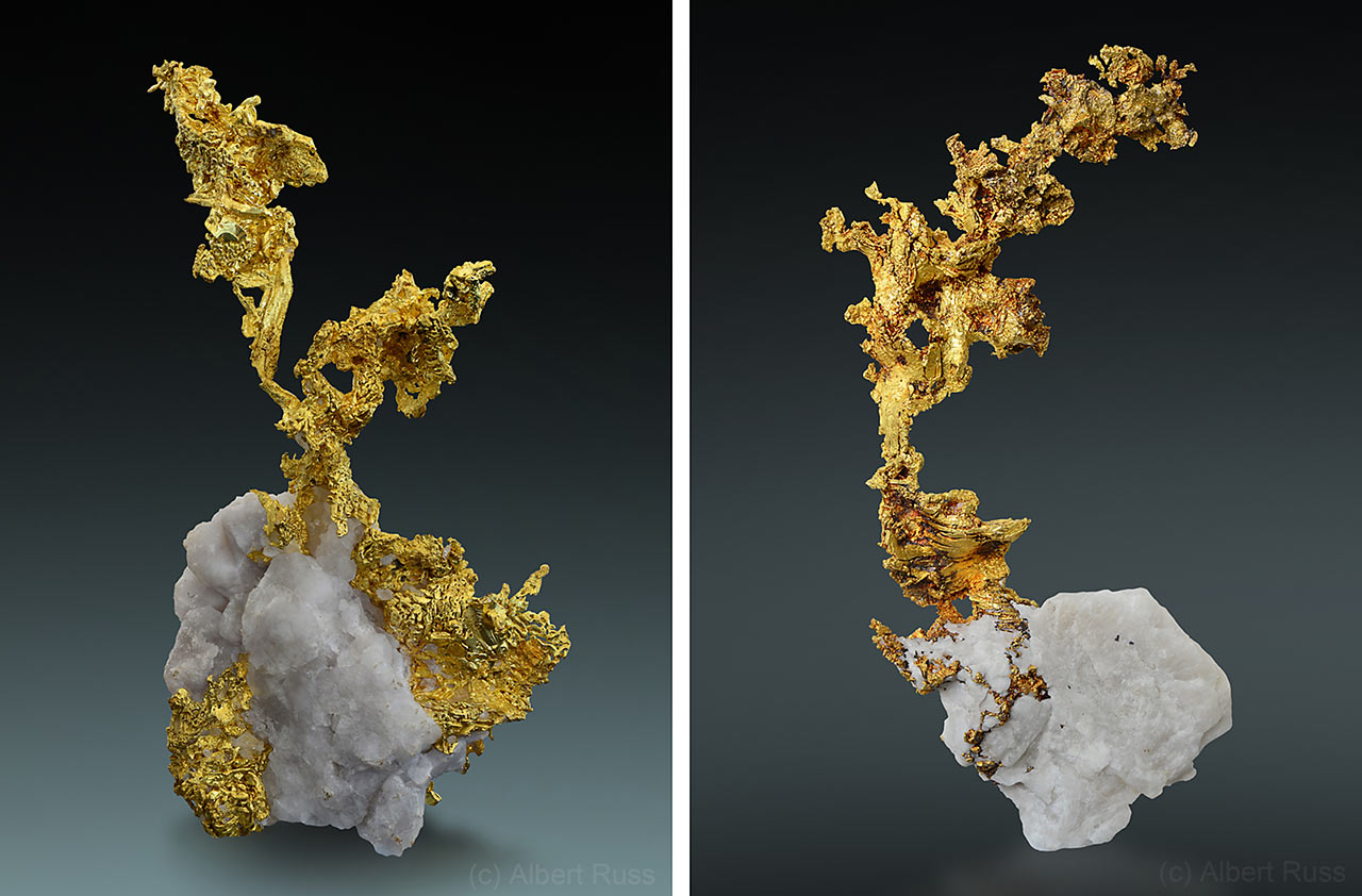 Native gold mineral specimens from Eagle's Nest, California, USA