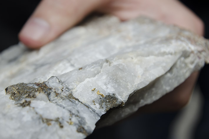 Quartz vein with visible native gold from Jílové u Prahy, Czech Republic