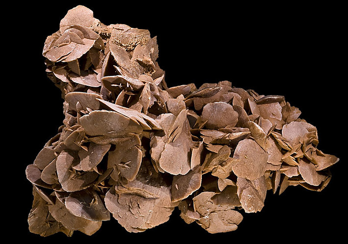 Lens shaped crystals of gypsum called desert rose from Tunisia