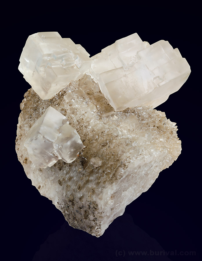 Huge cubic crystals of rock salt (halite) on salt matrix from Inowroclaw, Poland