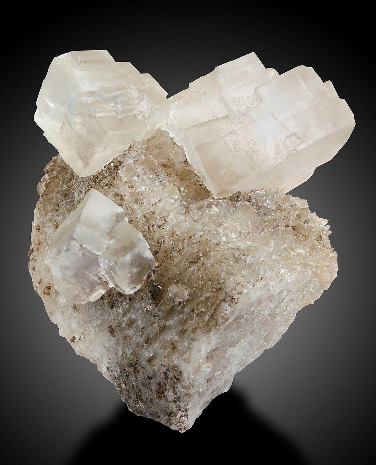 Huge cubic crystals of rock salt (halite) on salt matrix from Inowroclaw, Poland