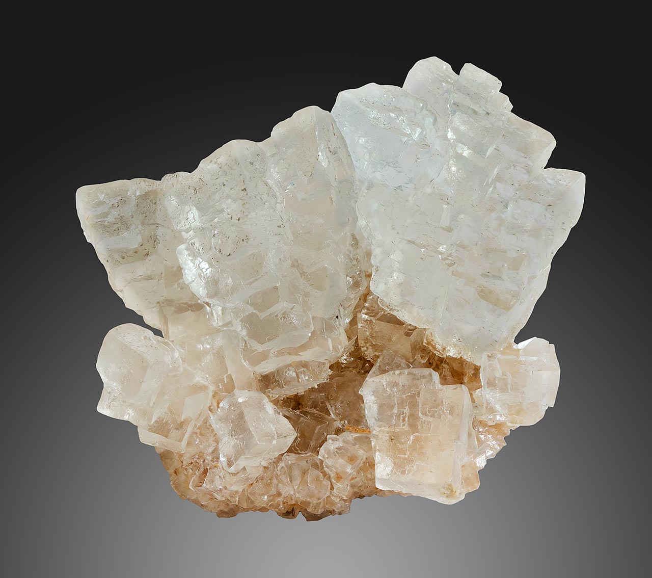 Skeletal halite crystals from Inowroclaw, Poland