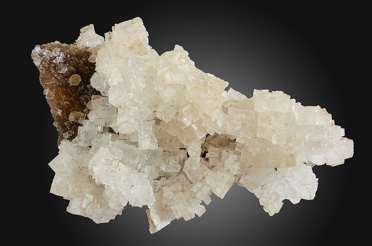 Cluster of delicate skeletal halite (rock salt) crystals from Inowroclaw, Poland