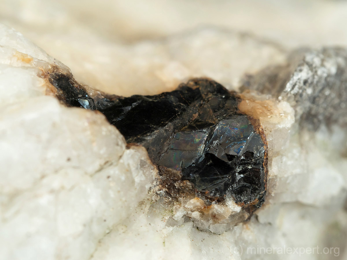 Gadolinite-(Y) from Høydalen pegmatite , Norway