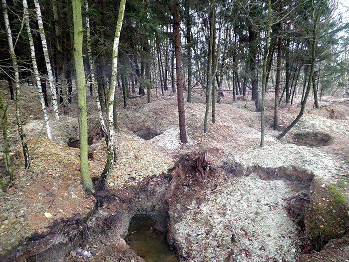 Forest full of holes after illegal moldavite digging - Krasejovka, South Bohemia, Czech Republic