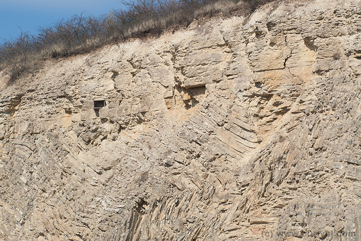 Devonian and jurassic limestone sediments from Brno, Czech Republic