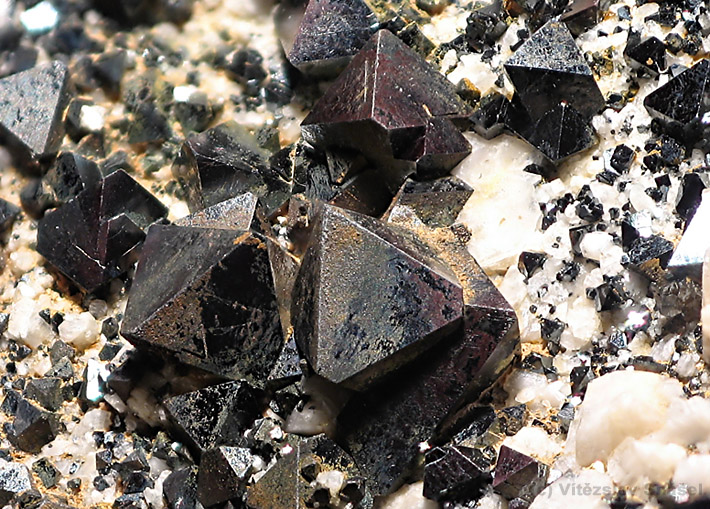 Cluster of octahedral shaped magnetite from Cerro Huanaquino, Potosi, Bolivia