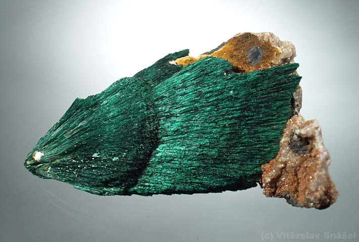 Spray of needle shaped green malachite crystals from Kerrouchen, Morocco