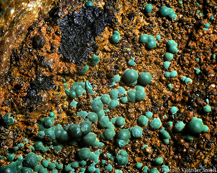 Green balls of malachite on the contrasting limonite matrix from Ľubietová, Slovakia