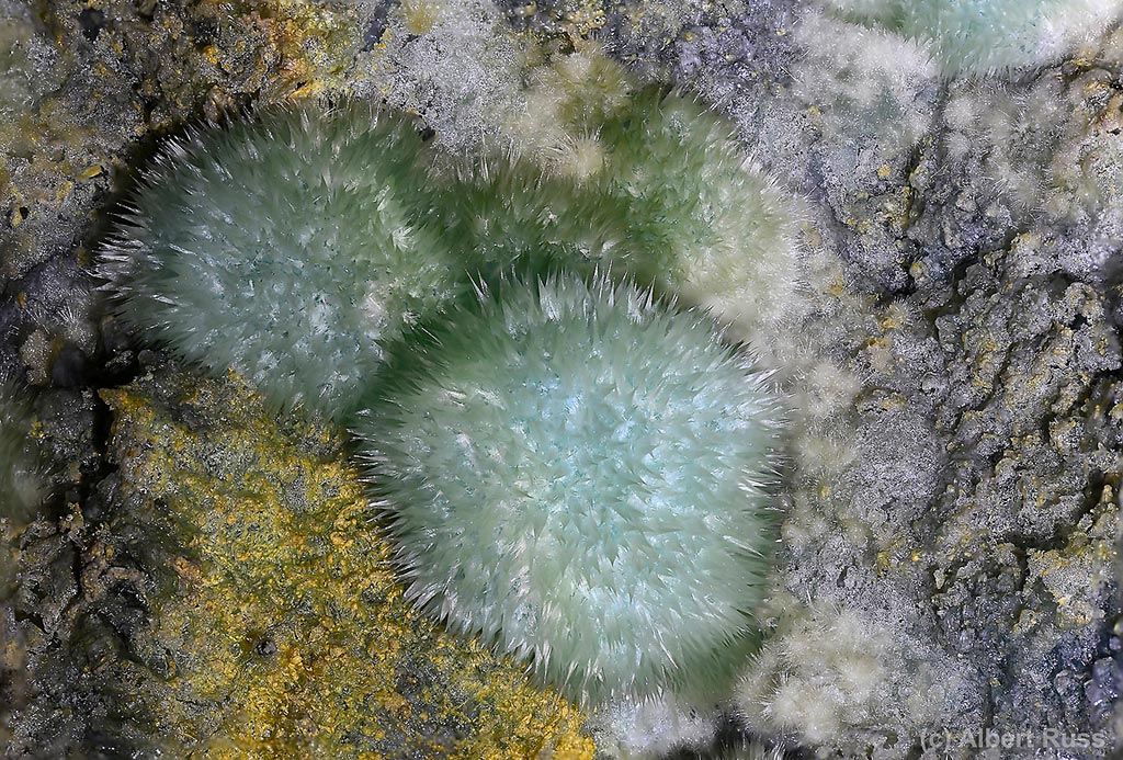Melanterite crystal balls sitting on the white sulfates encrustation, underground mine in Hodruša, Slovakia