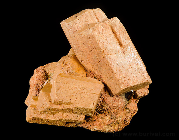 Cluster of K-feldspar microcline crystals from pegmatite in Gorkhi, Mongolia