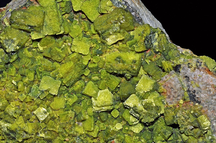 Radioactive autunite crystals from France