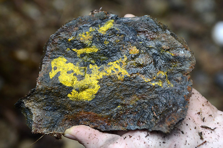 Bright yellow greenockite (cadmiun sulfide) is highly toxic mineral