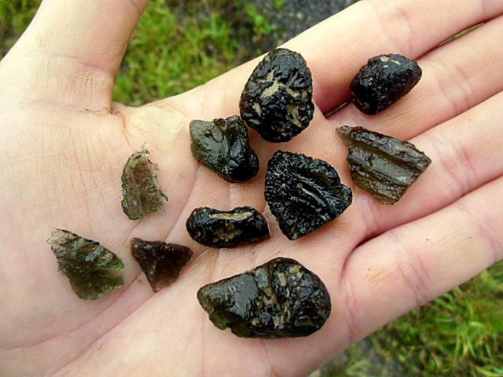 Moldavite collector's hand with small moldavites