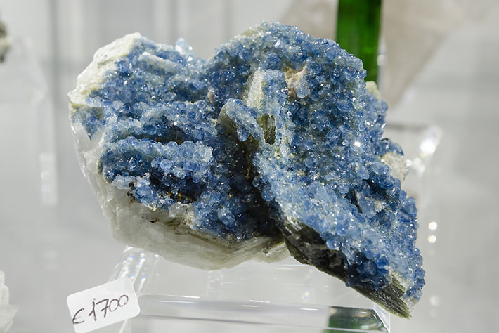 Blue apatite on cleavelandite from Golconda Mine, Brazil