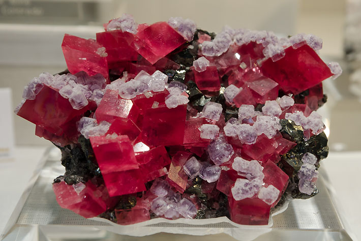 Rhodochrosite with fluorite, chalcopyrite and tetrahedrite from Sweet Home Mine, Colorado, USA