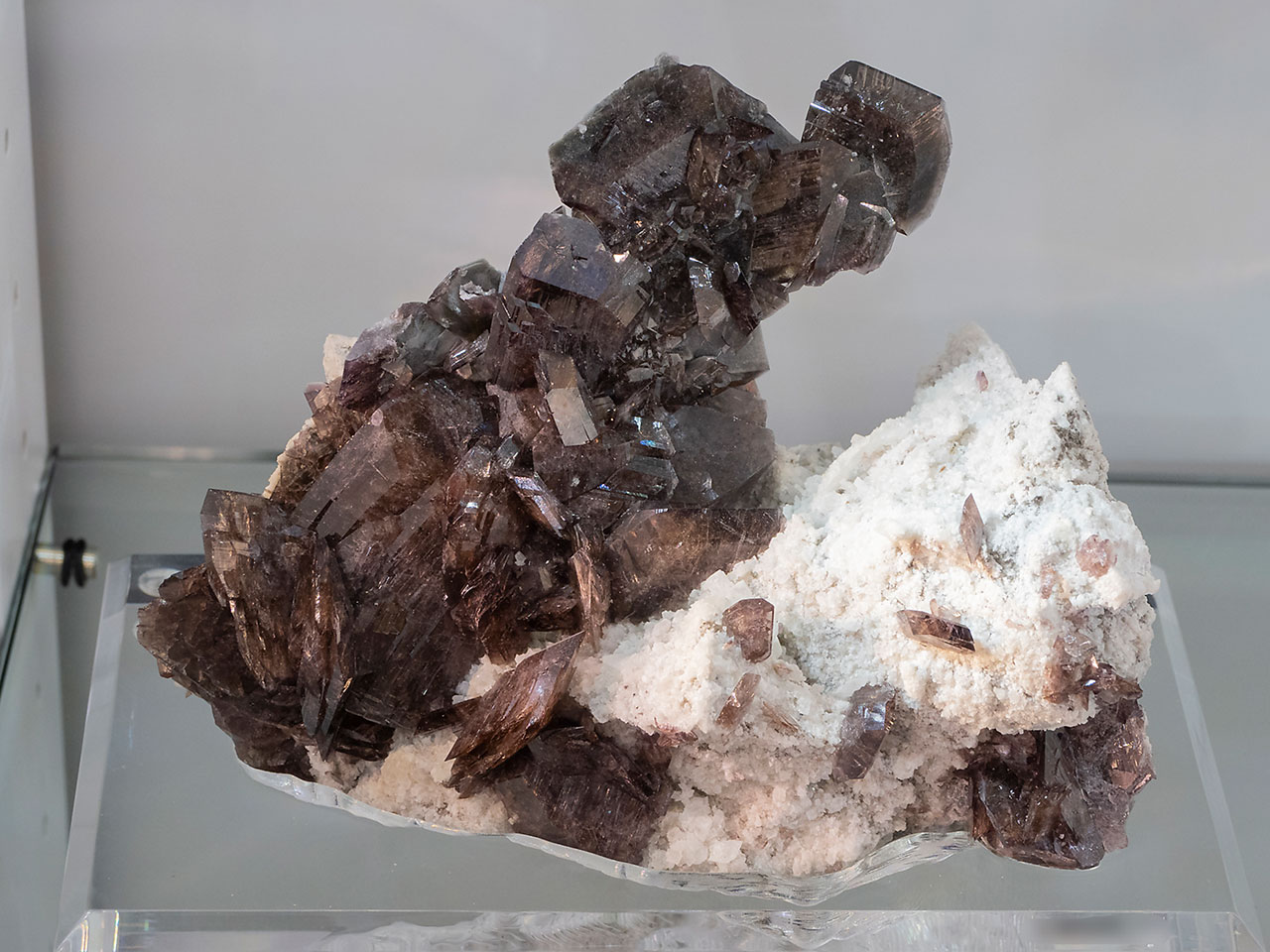 Big mineral specimen with numerous axinite crystals from Nausherwani Mine, Kharan District, Pakistan
