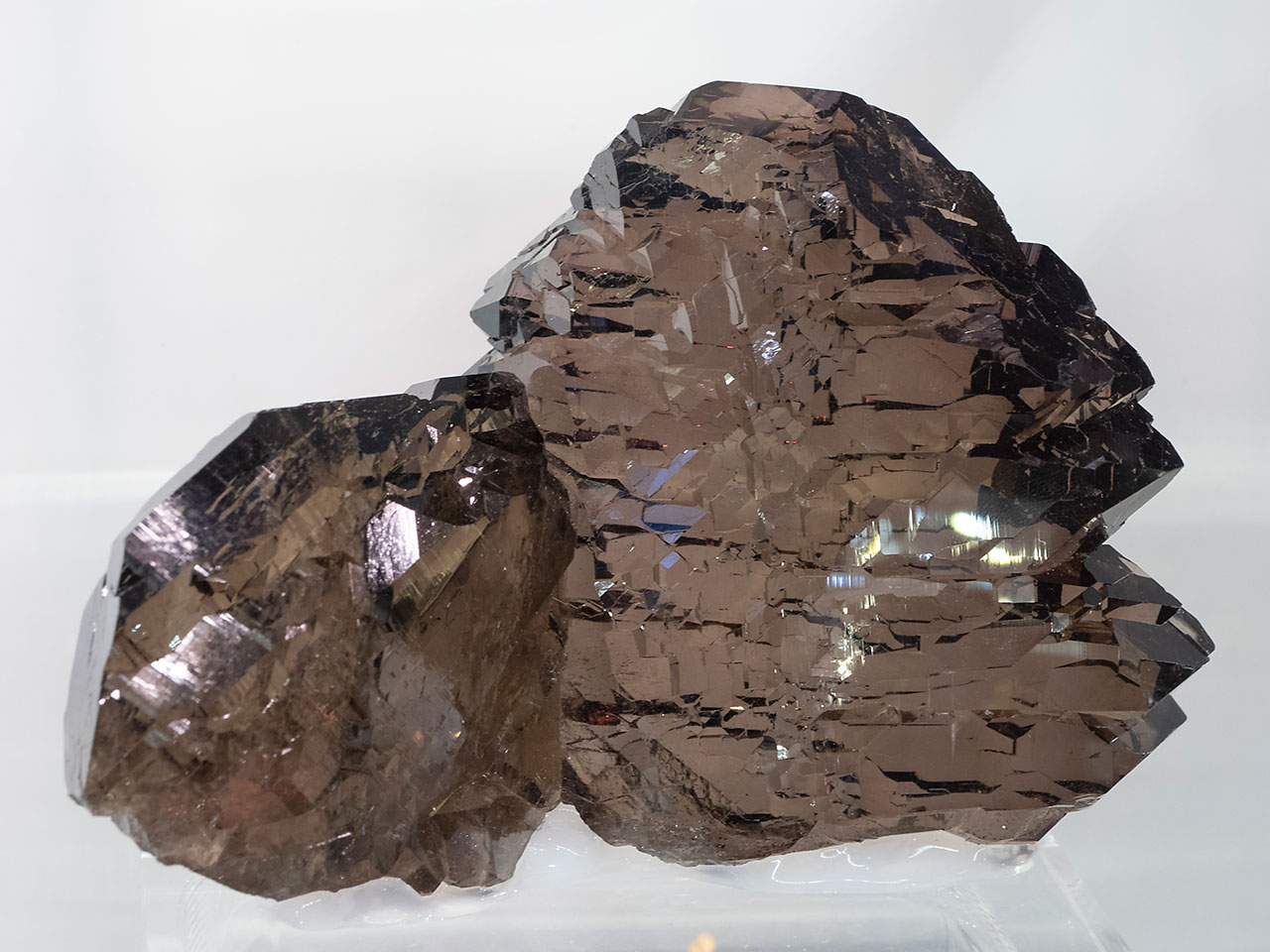 Smoky quartz double gwindel with perfect condition and color from Fedenstock, Fellital, Switzerland