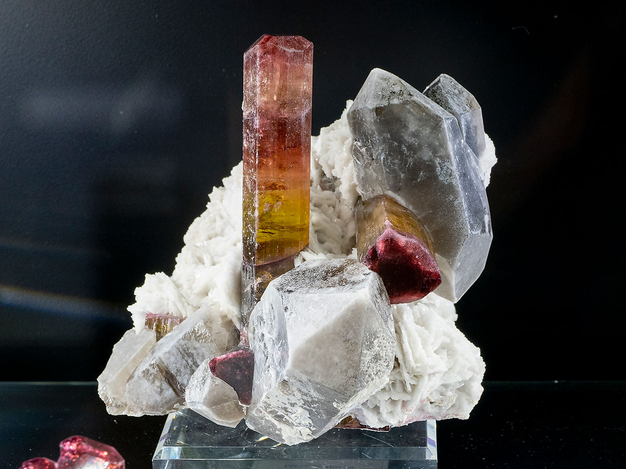 Multicolor crystal of lithium tourmaline on albite and quartz matrix from Malkhan, Russia