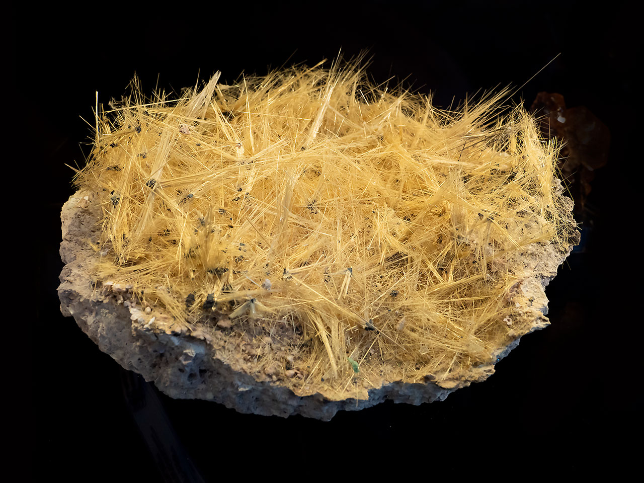 Superb mineral specimen of hairy golden rutile crystals from Ibiajara, Bahia, Brazil