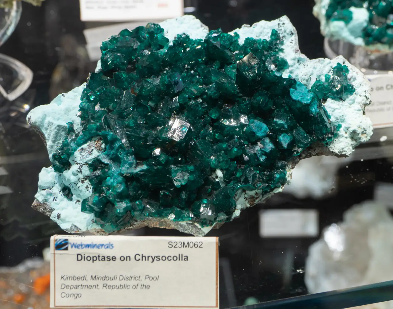 Dioptase crystals on pale blue chrysocolla from Kimbedi, Congo.