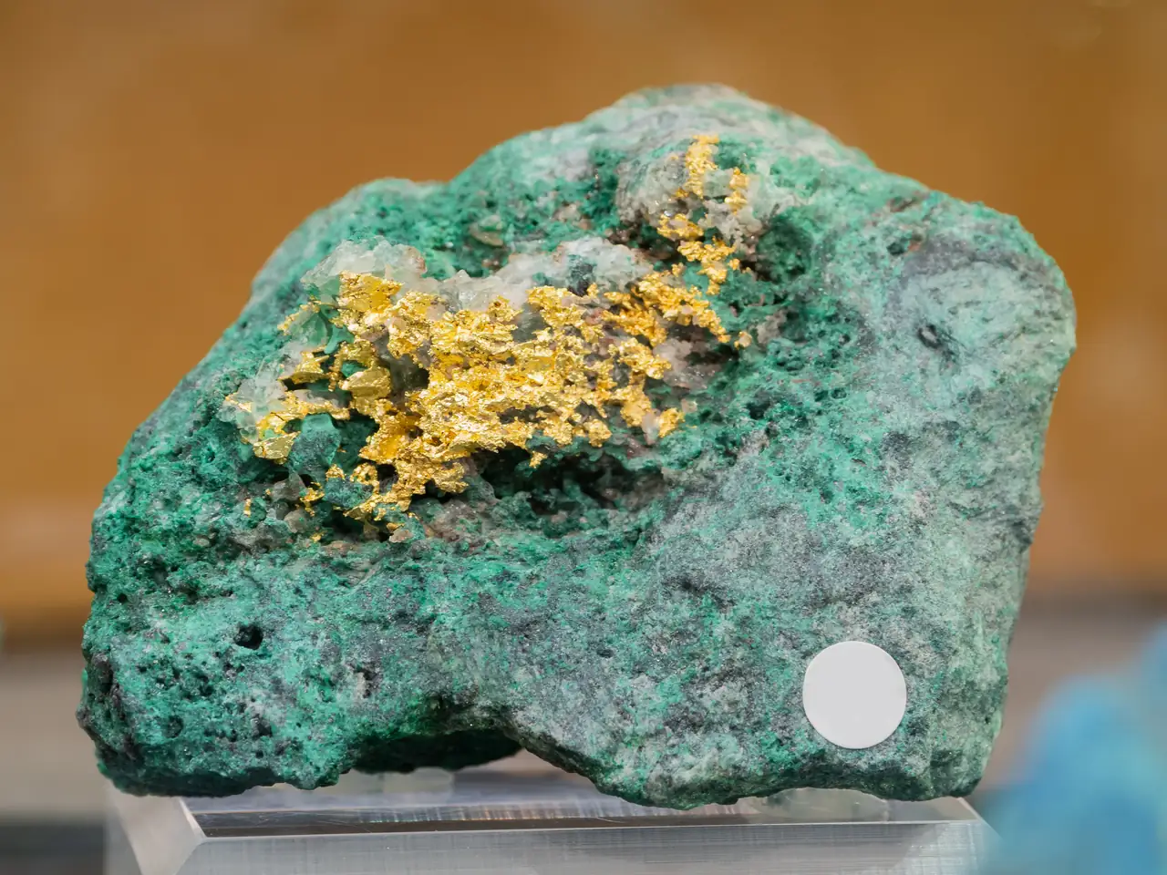 Native gold aggregate sitting on bright green shattuckite from Kaokoveld, Namibia
