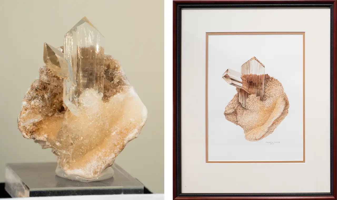 Mineral specimen and Frederick C. Wilda painting of clear gypsum crystal on matrix.