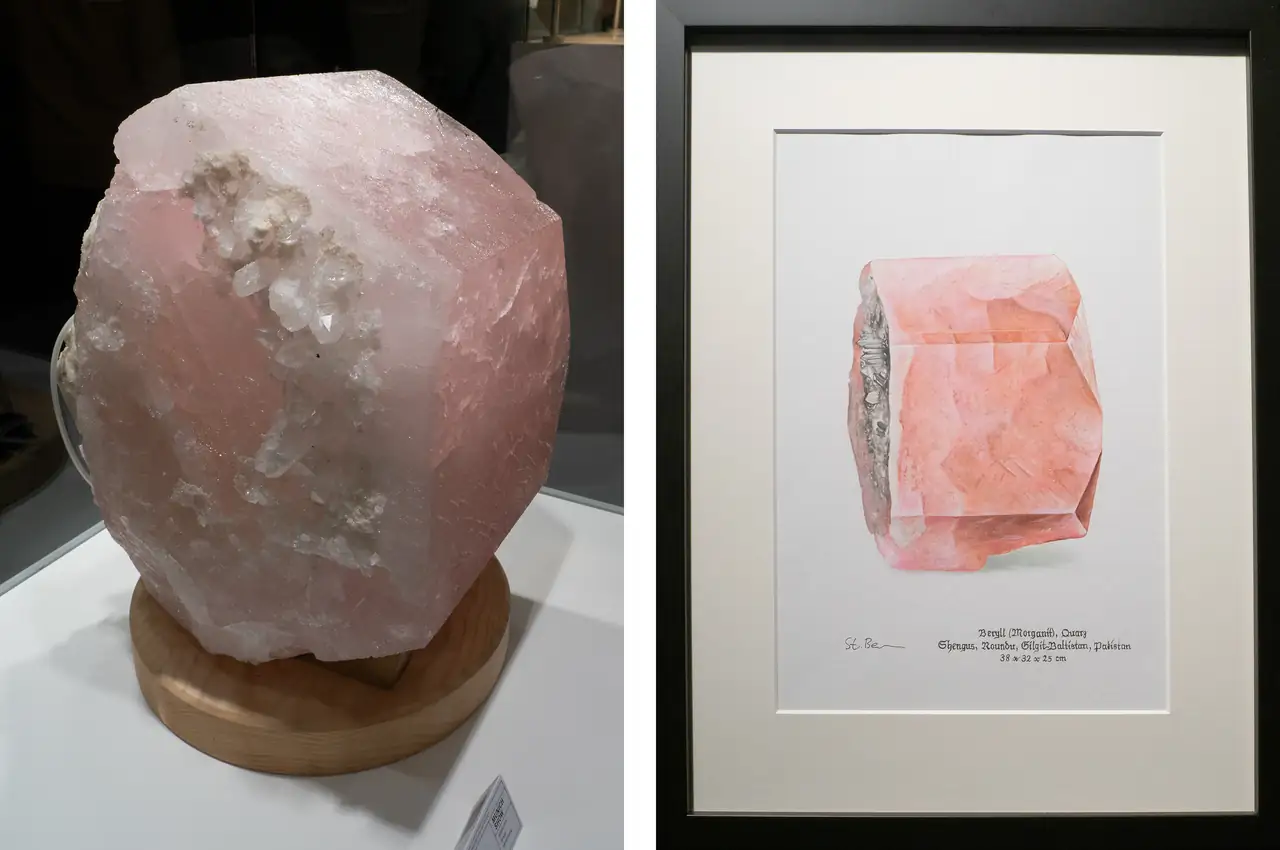 Mineral specimen and Stefanie Berens painting of large morganite crystal from Shengus, Gilgit-Baltistan, Pakistan.