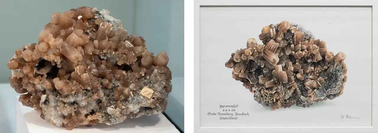 Mineral specimen and Stefanie Berens painting of brown pyromorphite from Rosenberg Mine, Braubach, Germany.