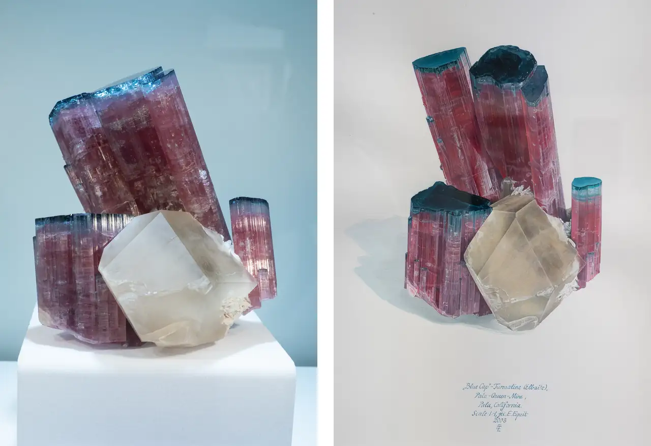 Mineral specimen and Eberhard Equit painting of tourmaline from Tourmaline Queen Mine, Pala, California, USA.