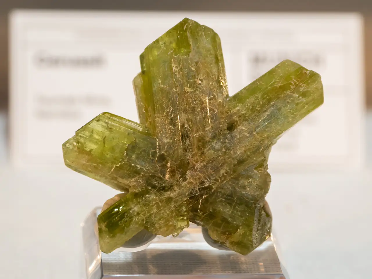 Classic sixling of chrysoberyl from Santa Teresa, Espírito Santo, Brazil