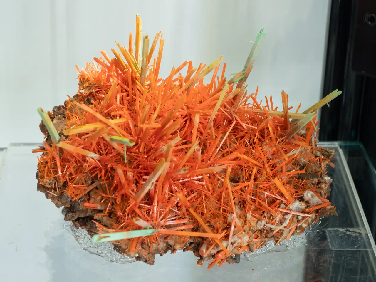 Large bright orange crocoite cluster from Tasmania, Australia