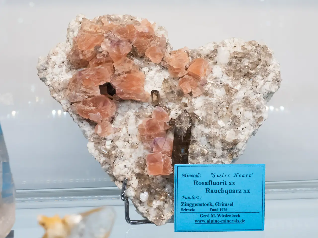 Swiss heart rosa fluorit and smoky quartz specimen from Zinggenstock, Switzerland