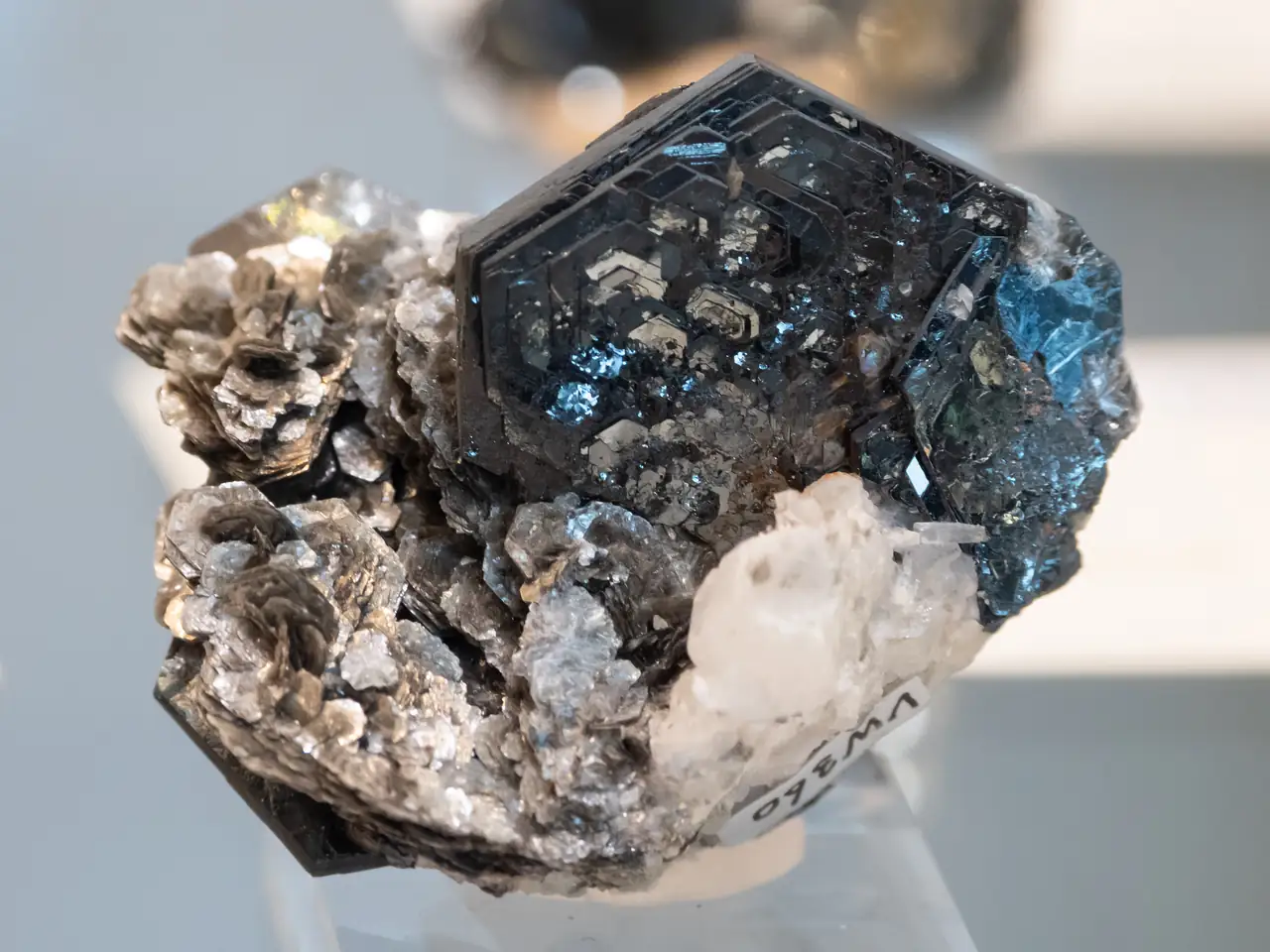 Iron rose (Eisenrose) hematite with muscovite from Mörchnerkar, Zillertal, Austria