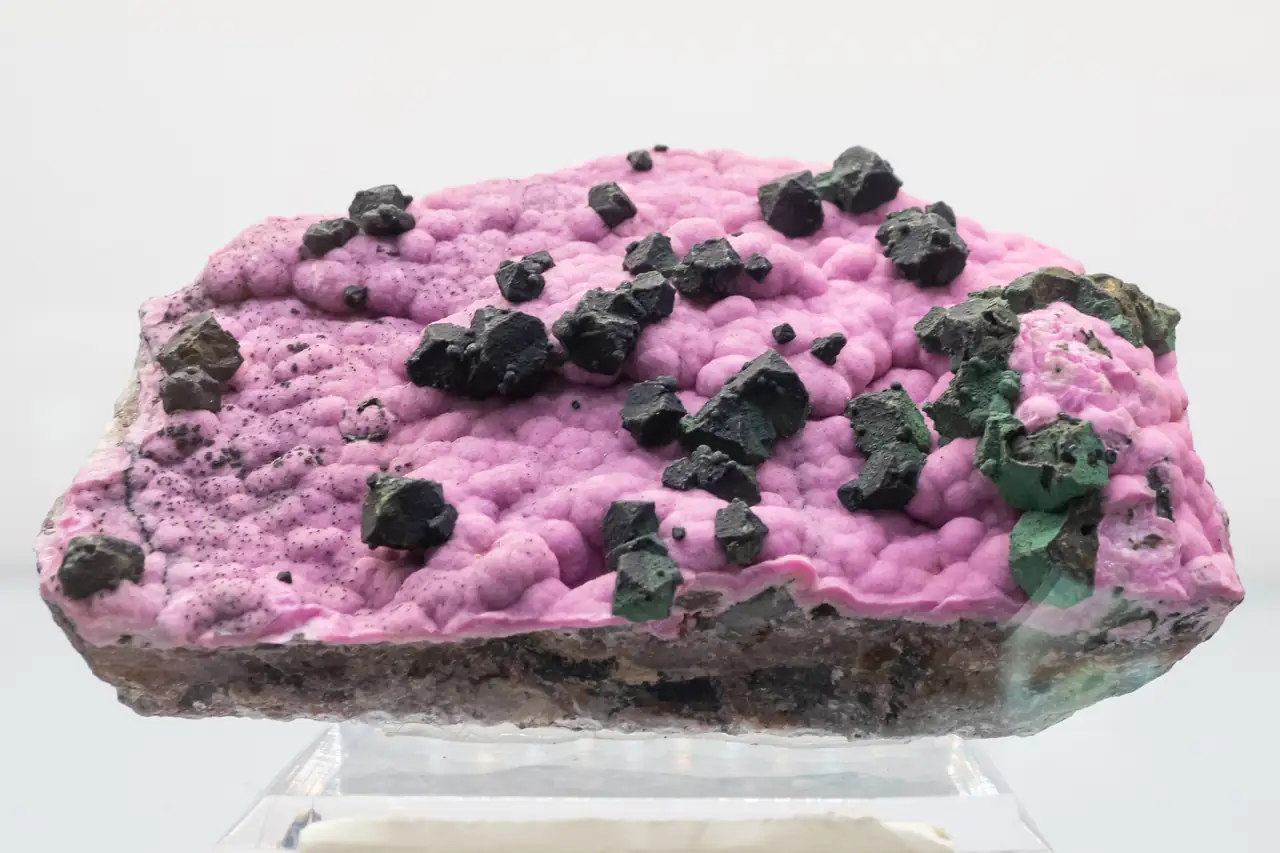 Kolwezite after cuprite sitting on bright pink cobaltoan calcite from Kakanda Mine, Congo