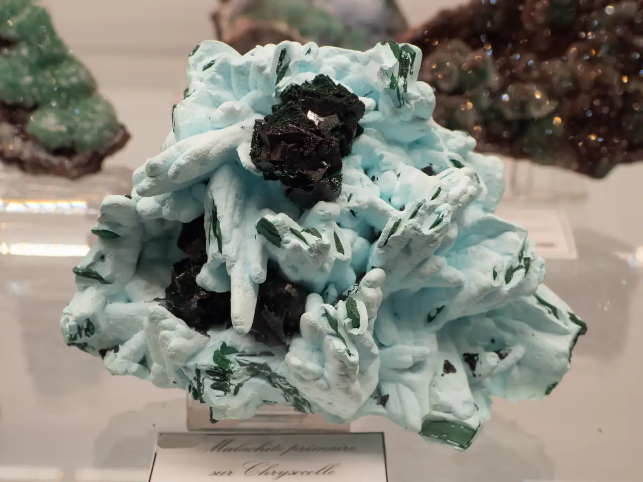 Primary malachite on chrysocolla from DR Congo