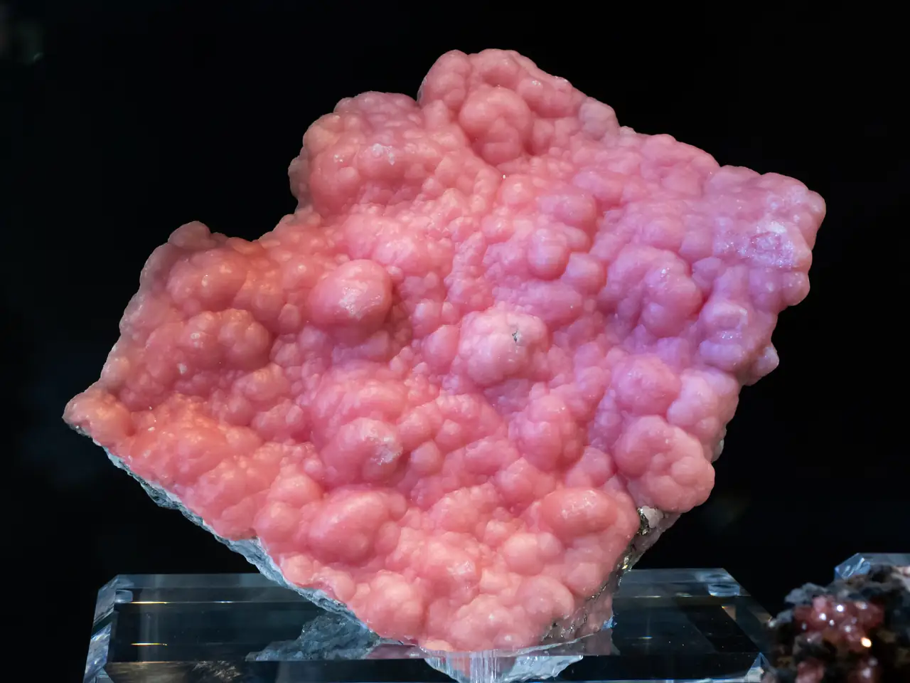 Pink botryoidal rhodochrosite from Oppu Mine, Aomori Prefecture, Japan