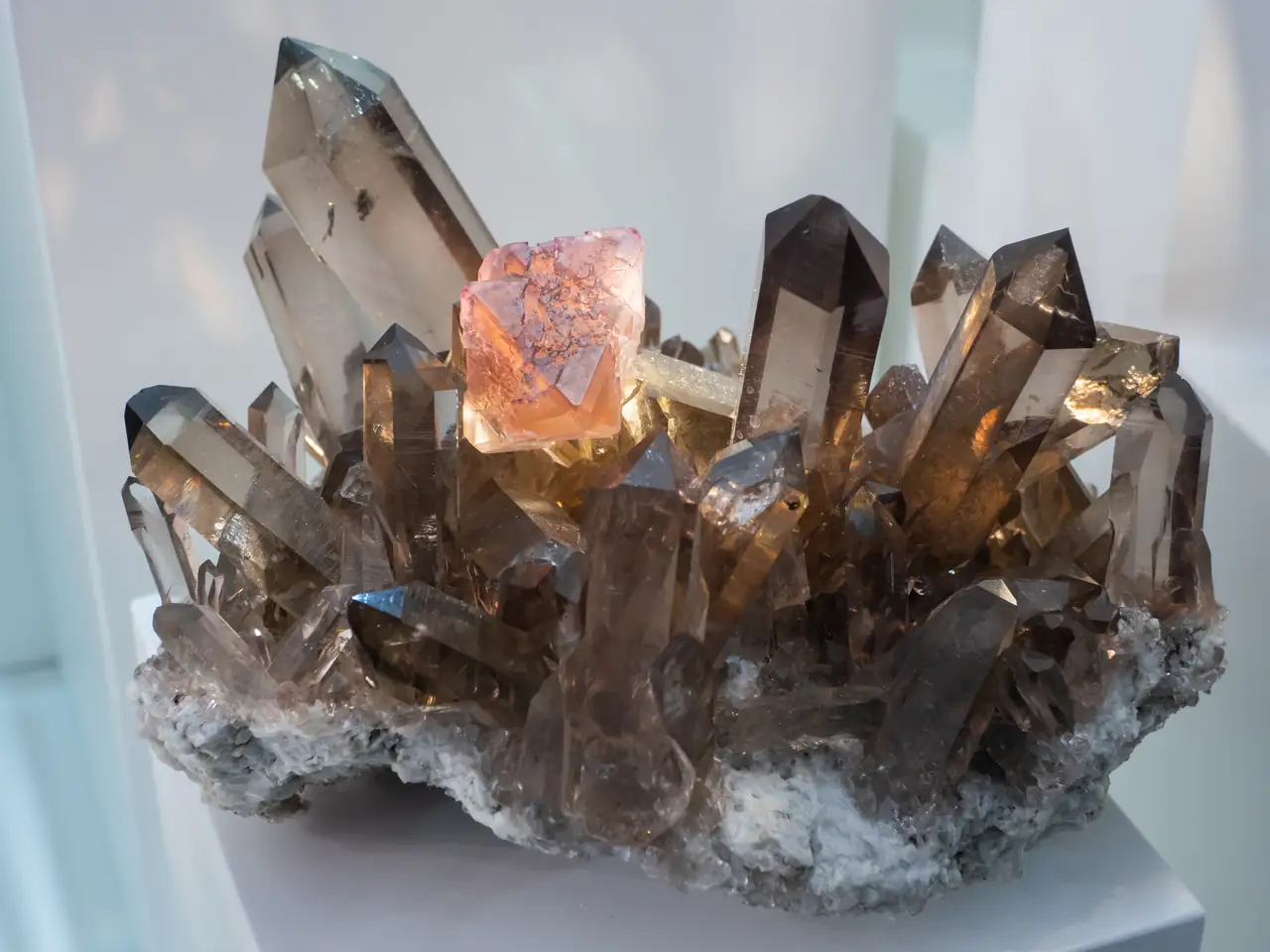 Top cluster of gemmy dark smoky quartz crystals with pink fluorite from Switzerland