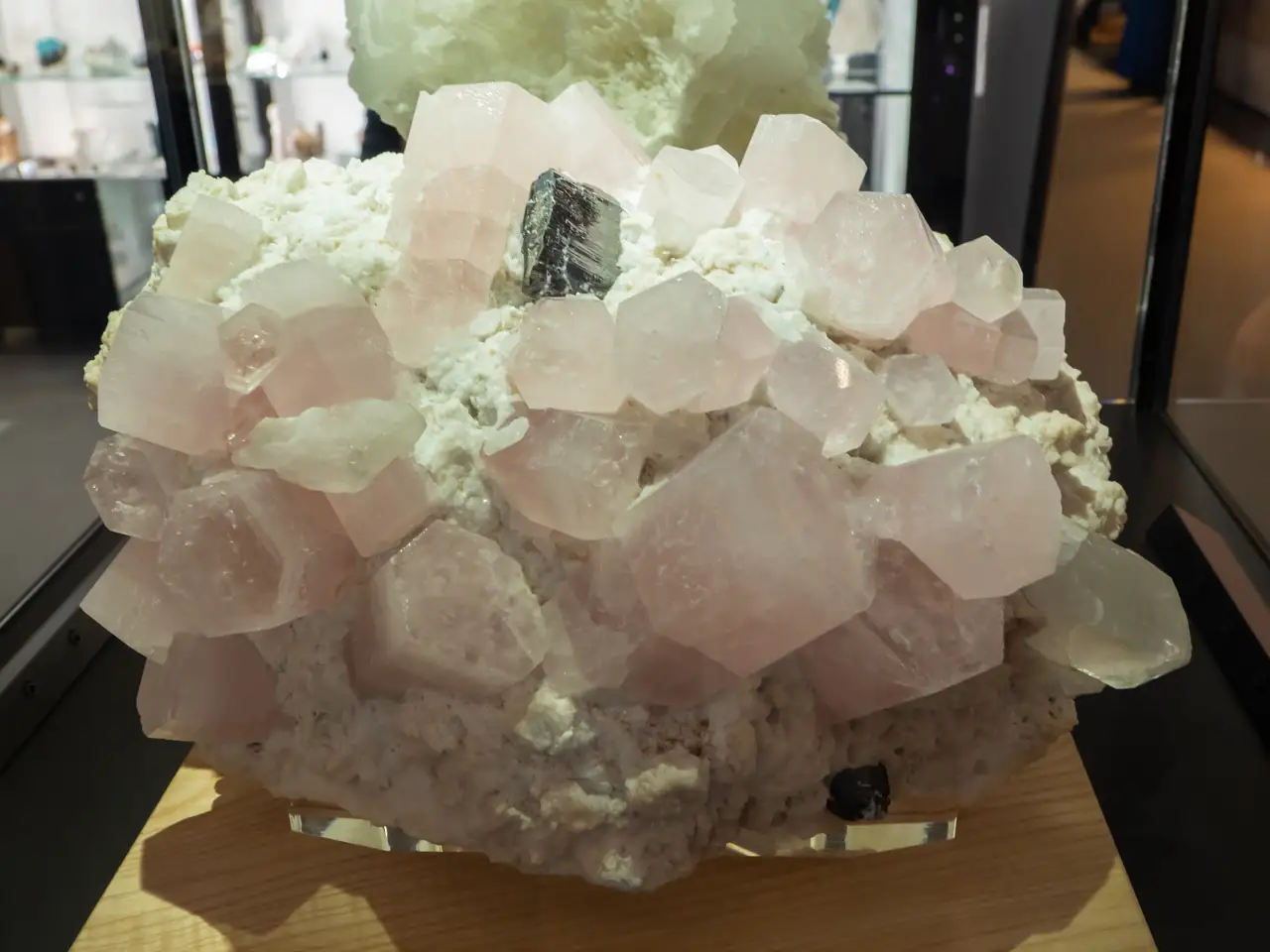 Crown of Roundu crystal cluster with numerous morganites and tantalite from Roundu District, Gilgit-Baltistan, Pakistan