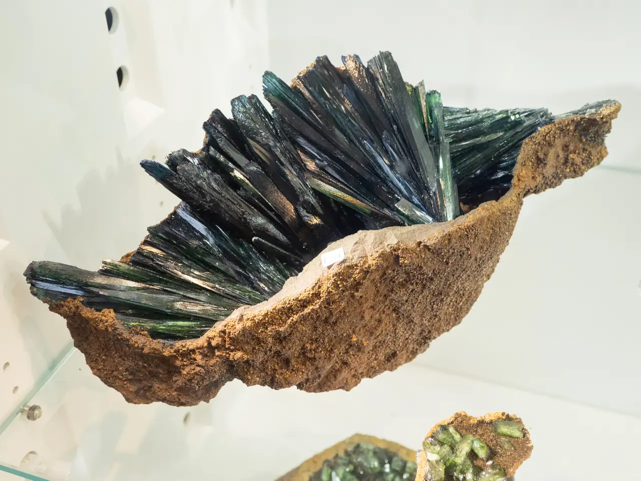 Large vivianite crystals from Cabeça do Cachorro claim, São Gabriel da Cachoeira, Amazonia, Brazil