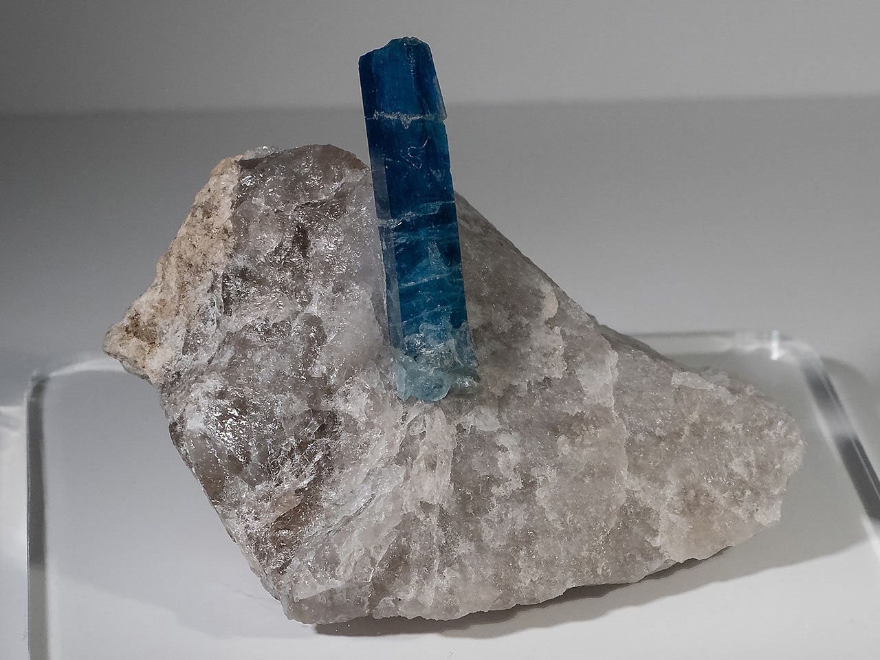 Deep blue aquamarine in the quartz matrix from the Untersulzbachtal, Hohe Tauern, Austria.