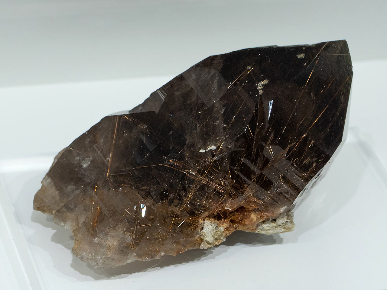 Rutilated dark smoky quartz from the Krimmler Achental, Austria