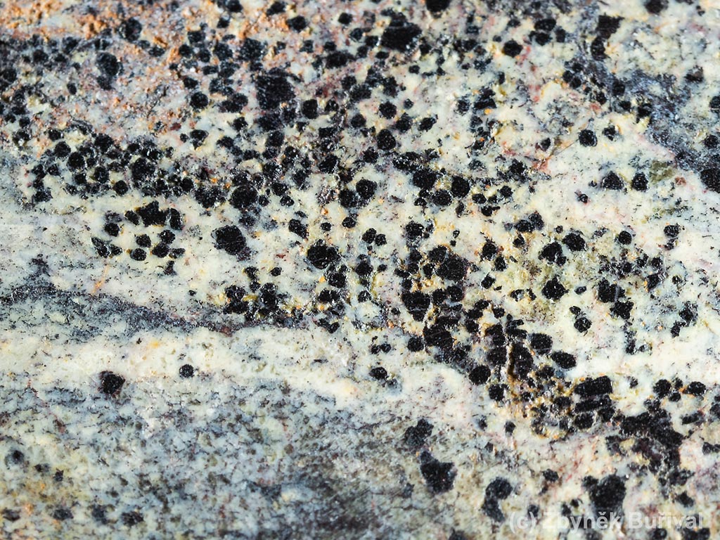 Chromite grains in the opal matrix