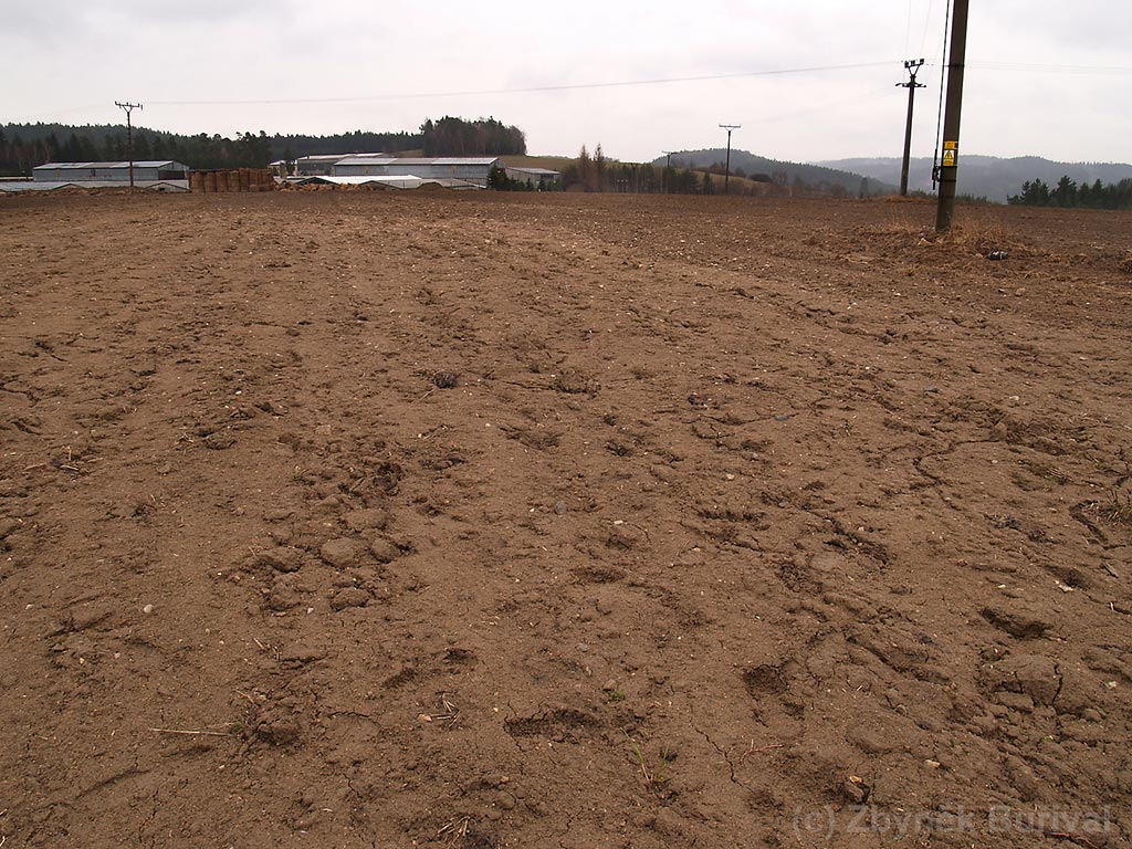 Ploughed field with opals near Rožná village, Czech Republic