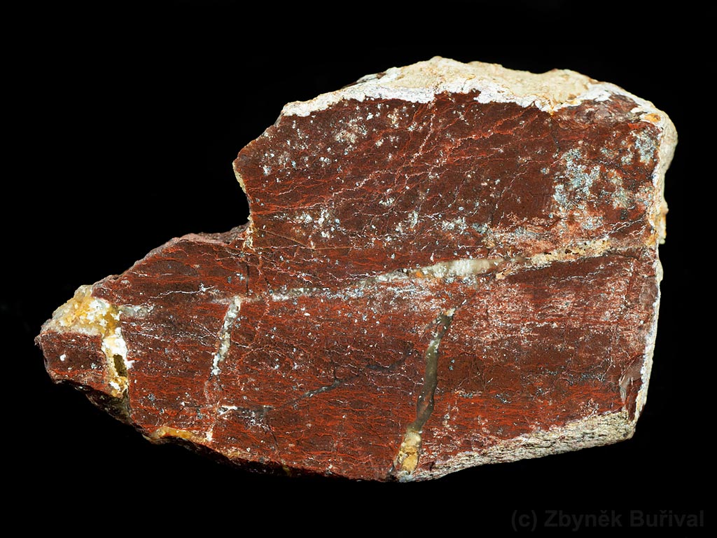 Polishad piece of dark red opal