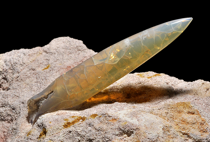 Opalised belemnite from Coober Pady, Australia