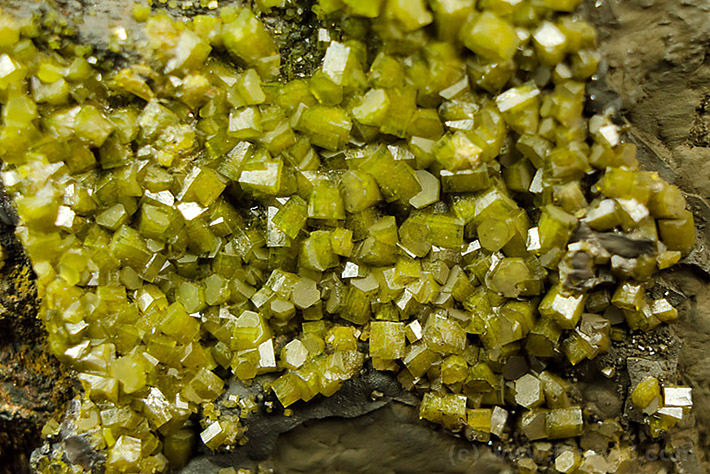 Detail of green pyromorphite crystals from Příbram, Czech Republic