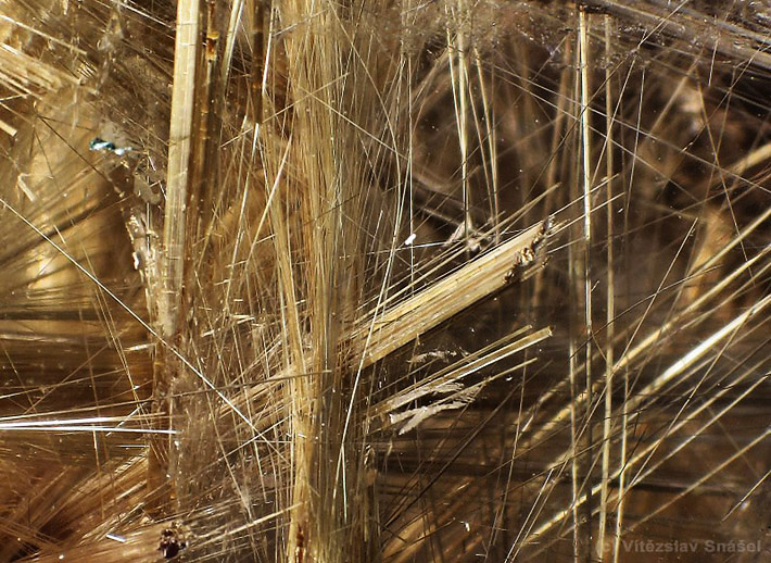 Detail of smoky quartz with golden needles of rutile variety sagenite