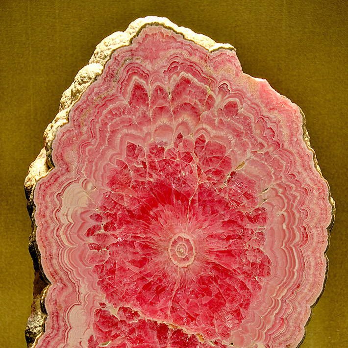 Polished slab of layered rhodochrosite